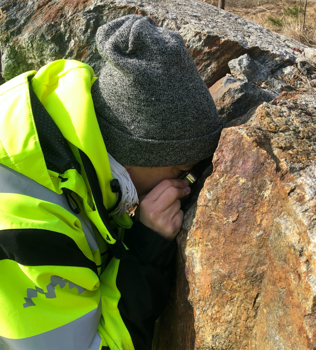 Geolog undersöker sulfidförande bergart